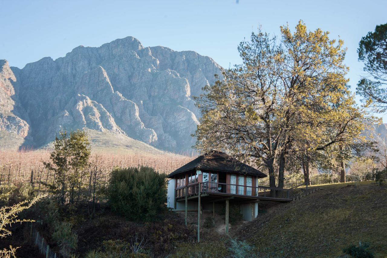 Tulbagh Mountain Manor Vendégház Fokváros Kültér fotó