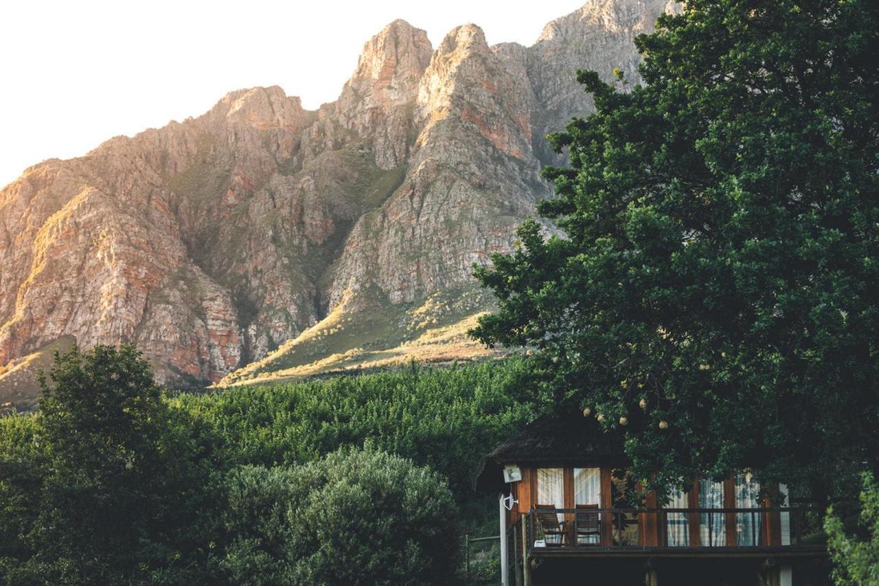 Tulbagh Mountain Manor Vendégház Fokváros Kültér fotó